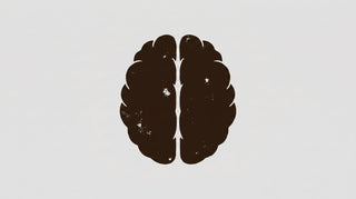 Chaga Wirkung Psyche: Was der Pilz mit Stimmung & Stress macht