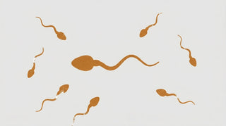 Cordyceps und Testosteron: Was Männer über den Vitalpilz wissen sollten