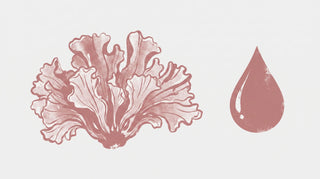 Tremella Wirkung: Was der Beauty-Pilz für Haut, Psyche & Gelenke tun kann