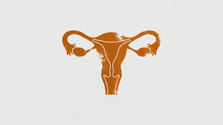 Cordyceps Wirkung Frauen: Hormone, Zyklus und Wechseljahre