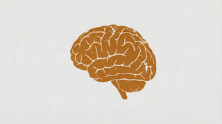 Cordyceps und Stress: Was der Pilz mit der Psyche macht