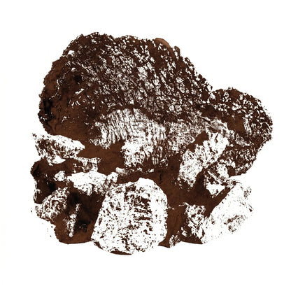 Chaga Sklerotium (Inonotus obliquus) als Monoprint. Schwarze rissige Kruste mit hellem Inneren.