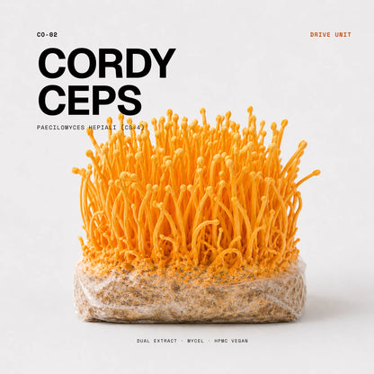 Cordyceps CS-4 Vitalpilz: Standardisierter Extrakt aus CS-4 Myzel aus Fluessigfermentation, Rohstoff für Wellness Anarchy Cordyceps 
Kapseln Dual Extract.