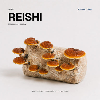 Reishi Vitalpilz: rotbrauner Ganoderma lucidum Fruchtkörper, 
Rohstoff für Wellness Anarchy Reishi Kapseln Dual Extract.