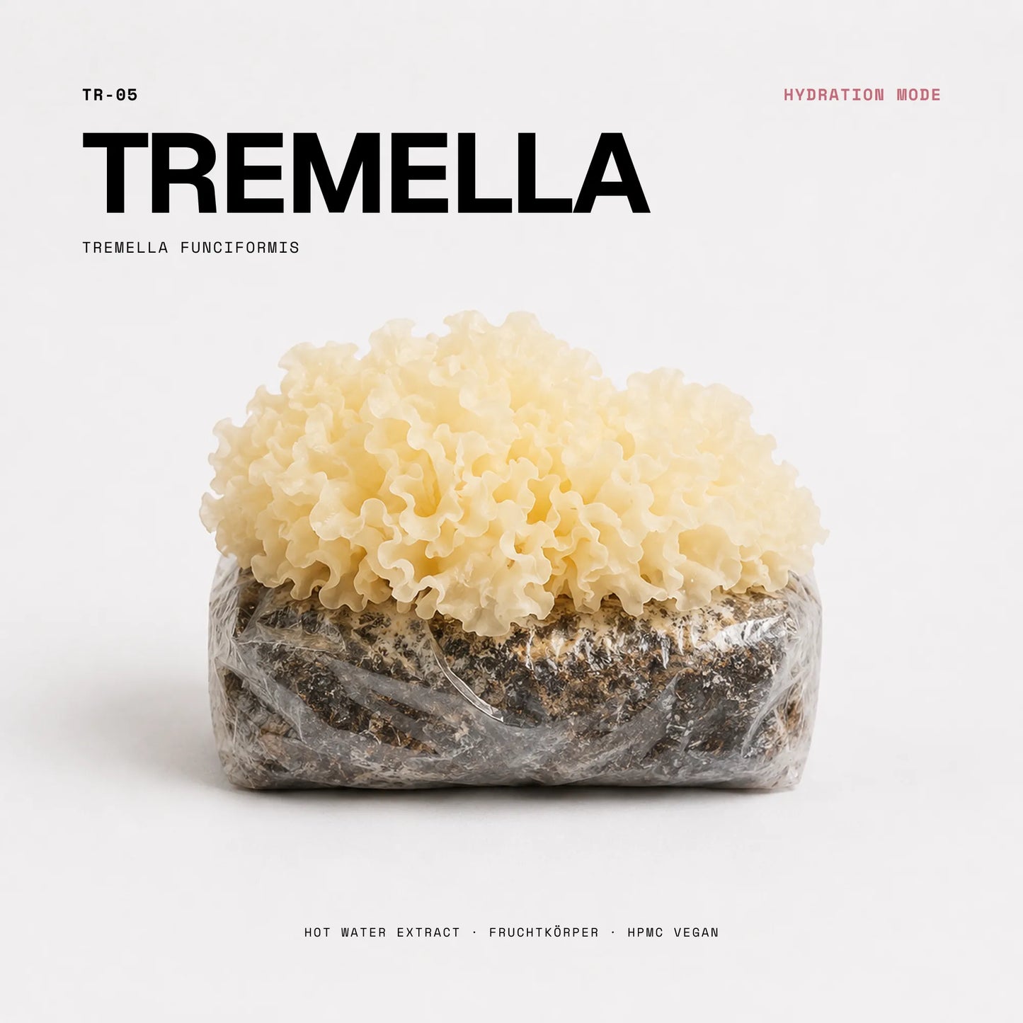 Tremella Vitalpilz: weißer Tremella fuciformis Fruchtkörper, 
Rohstoff für Wellness Anarchy Tremella Kapseln Hot Water Extract.