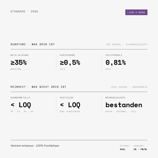 Lion's Mane Dual-Extrakt Qualitätsdaten: Beta-Glucane >25%, Hericenone >1,1%, Polyphenole 0,76%. Schwermetalle und Pestizide unter Nachweisgrenze. Hericium erinaceus Fruchtkörper.
