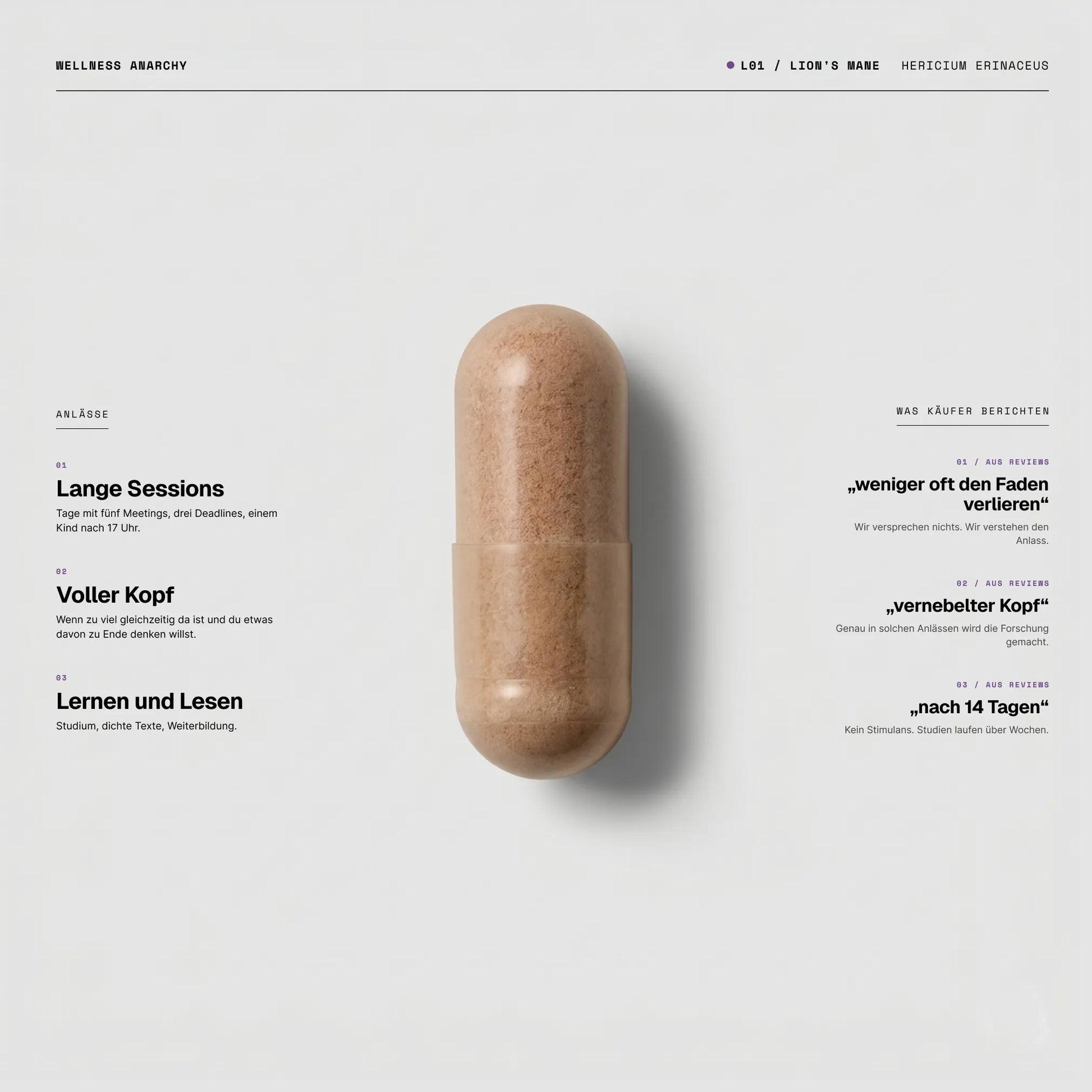 Lion's Mane Kapsel von Wellness Anarchy mit Hericium erinaceus Dual-Extrakt