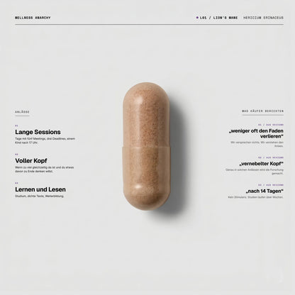Lion's Mane Kapsel von Wellness Anarchy mit Hericium erinaceus Dual-Extrakt